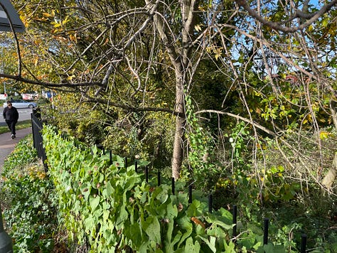 Trees, hedges, and plants on roads and at stations