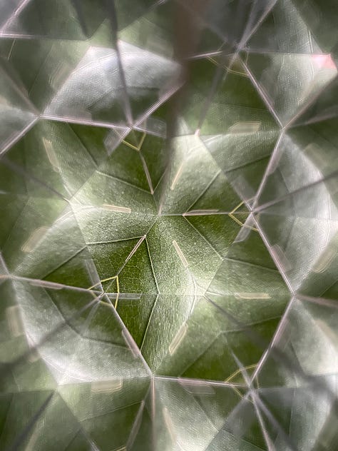 Photos of plants, stickers, pantry items through a kaleidoscope