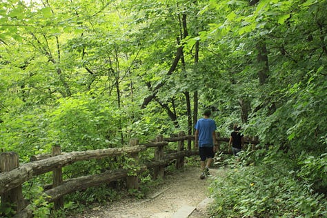 Photos of a heavily wooded trail with two people hiking and posing along the trail