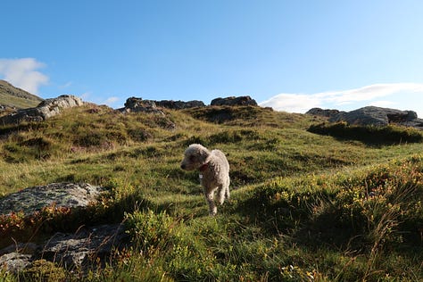 wild camping carneddau snowdonia