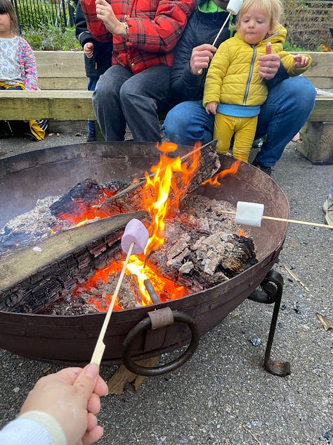 singing around the fire pit with various acoustic instruments, toasting marshmallows