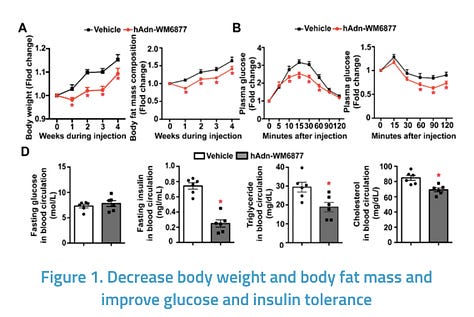 Adiponectin Glycopeptides Synthesis and its Potential for Metabolic Diseases