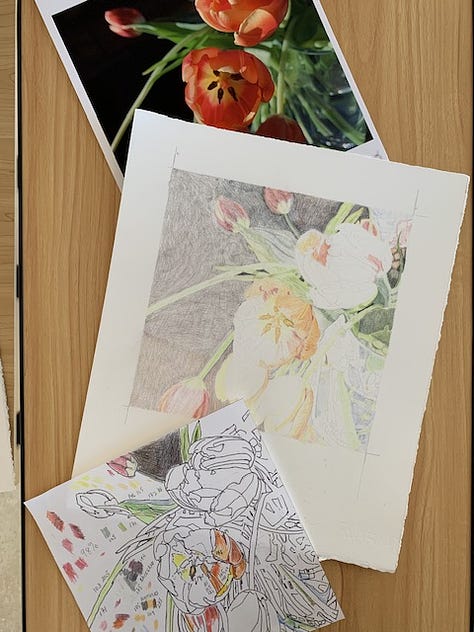 Half-finished floral artwork in watercolor and colored pencil by Wren Allen.