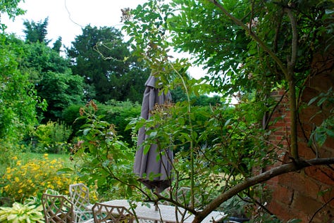 The back garden at Rose Cottage