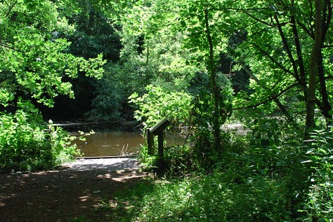 The C.S. Lewis nature reserve: 8 magical acres just behind the Kilns that helped to inspire Narnia.