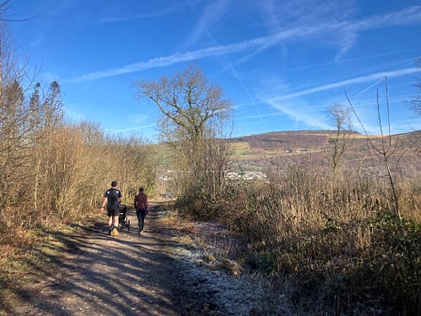 Looking down the hill at bare trees under a blue sky crossed with contrails