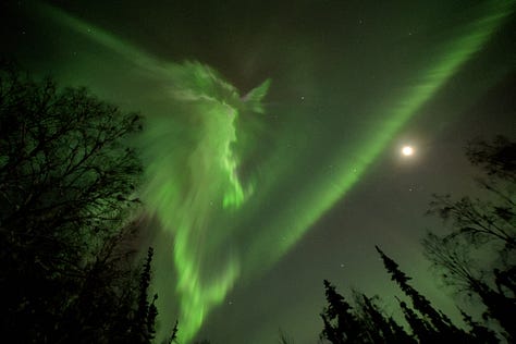 aurora borealis over Fairbanks, Alaska