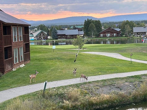 Photos from around Club Wyndham Pagosa Springs