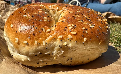 Different looks at the Beigel Bake seeded bagel