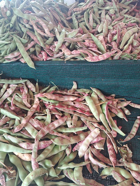 Mercato del Sabato, Epimenidou 17, Chania Greece