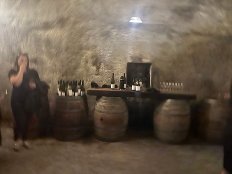 Gibbston-Valley-winery-tour-cave-wine-tasting-wine-barrels 