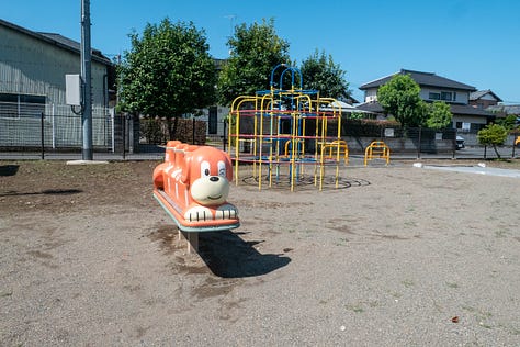 Playgrounds for an Aging Population