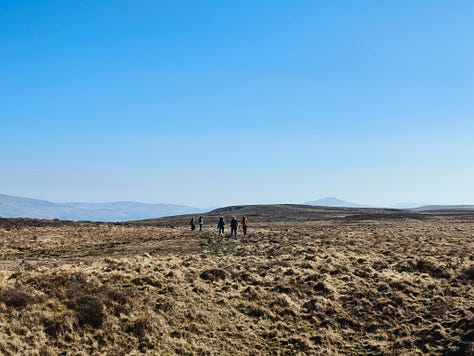 mountain scenery in Bannau Brychieniog Brecon Beacons on a sunny day