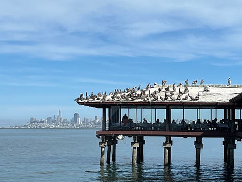 A Smattering of Sausalito