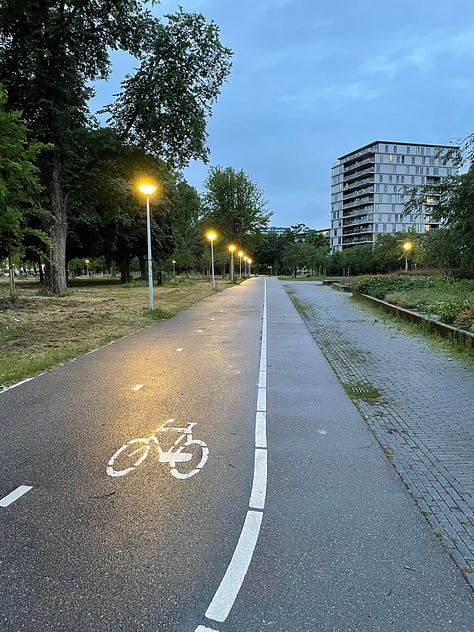 1) An open journal on a wooden cafe table, across from a glass of water & iced tea. 2) The reflective sliding doors of a royal blue public transit train. 3) A green milkshake, fries, and a hamburger with a pink bun. 4) A rainy empty bike lane, lined with street lamps, stretching toward apartment buildings at sunrise. 5) A collection of small pumpkins & gourds in shades of orange, peach, yellow, and green, some with stripes & speckles. A large peach pumpkin sits behind them along with jack o' lantern shaped pottery. 6) A yellow, light orange, and striped green pumpkin on a table. 7) Crates of pumpkins & gourds at a market. 8) A bird's eye view of four large yellow & orange pumpkins & gourds with green stripes.