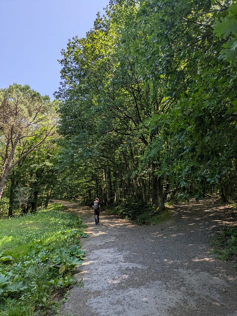 Ataturk Arboretum