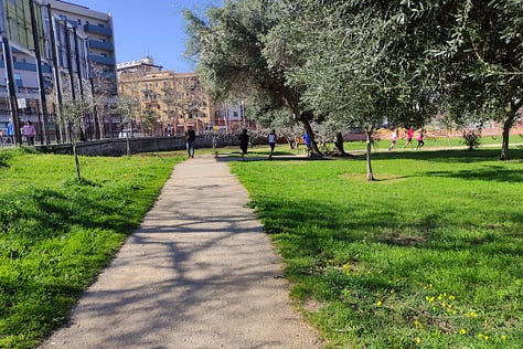 Wide paths in the park for some of the route