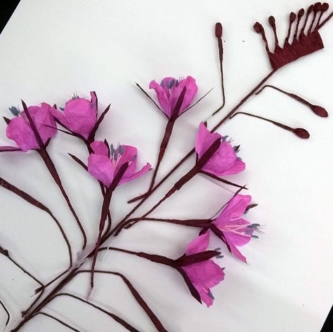 Sketches in my sketch book of from observations of rosebay willowhereb, plus colour tests and prototypes made from paper.