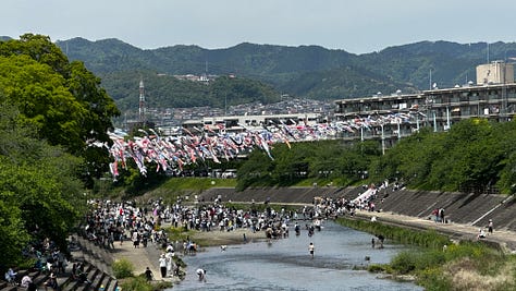 All different photos of Japanese koi fish kites