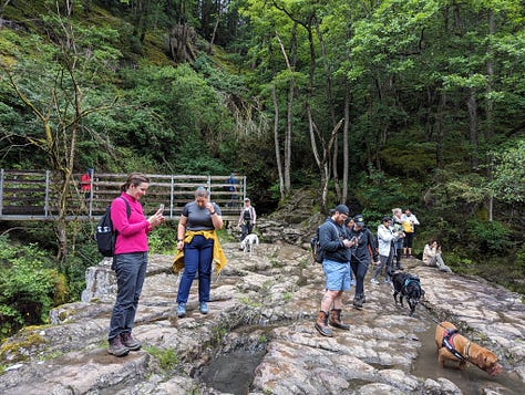 guided walk waterfalls brecon beacons