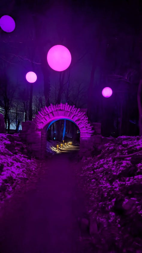 Six images: a black door looking out a door, steps covered with snow in a woods, yellow leaves over a road, a brick labyrinth, a hot pink tunnel in the dark, steps in the woods