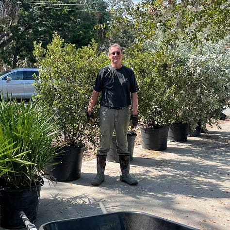 Zoe and Pete installing plants, including: saltbush and mangrove spider lily in the truck; palmettos, wax myrtles, and silver buttonwoods on the driveway; and pink muhly grass.