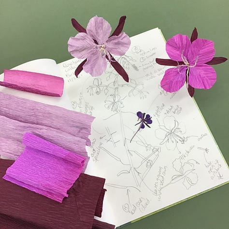 Sketches in my sketch book of from observations of rosebay willowhereb, plus colour tests and prototypes made from paper.