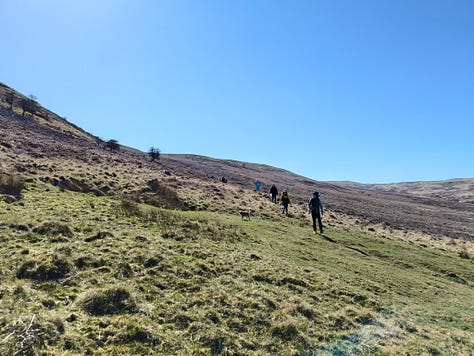 mountain scenery in Bannau Brychieniog Brecon Beacons on a sunny day