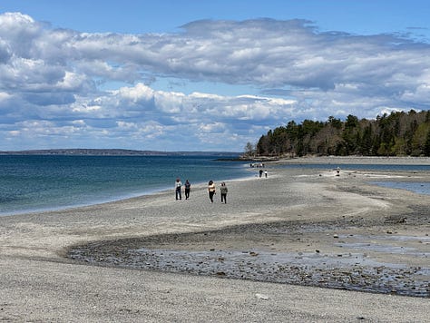 Scenic photos of the ocean and dogs