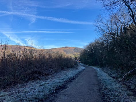 Looking down the hill at bare trees under a blue sky crossed with contrails