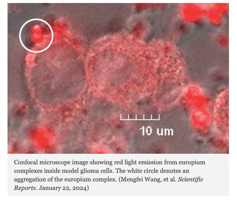 Cancer GPS Method Evaluates Model Tumor Malignancy