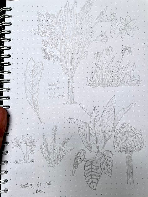 Various sketch in paper