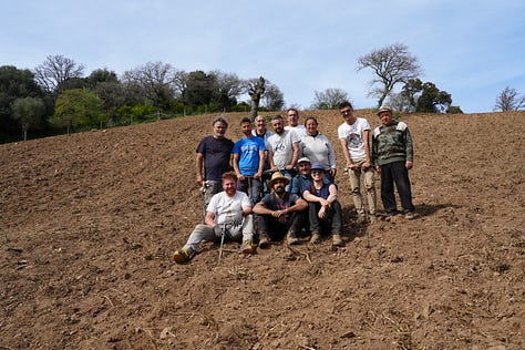 planting vineyards in Sardinia