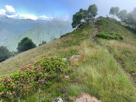 Oasi Zegna, mont Rubello and santuary S. Bernardo, Trivero (Biella, Italy)