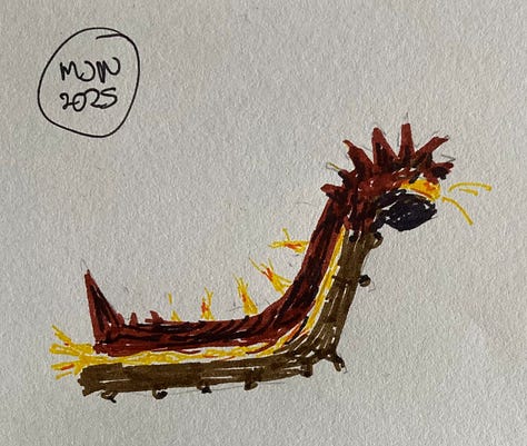 Felt pen drawings as described in caption. Very young caterpillar is brown with a yellow stripe and either yellow or brown spines, mature caterpillar is jade green with orange/ yellow and blue spines, moth is light brown with reddish bands and eye spots, mature is 