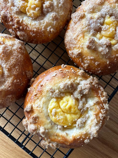 A Sourdough Journey by Alisa Custard Brioche Bun recipe