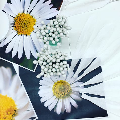 Scenes from the studio showing sketches and studies making composite flowerheads. A centre and all the parts of a daisy flower head made of paper.