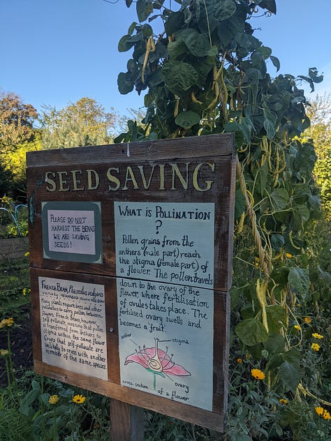 A community garden featuring bee & bee (bug hotel), vegetable patches, willow structures and signage listing information for volunteers and visitors 