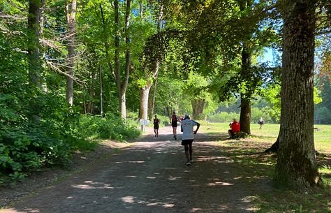 Hard surfaced path surrounded by trees