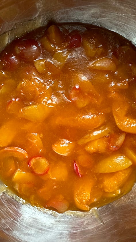 Apricot and Rainier Cherry Pie Filling, Hand Pies, and Shortcrust Pie