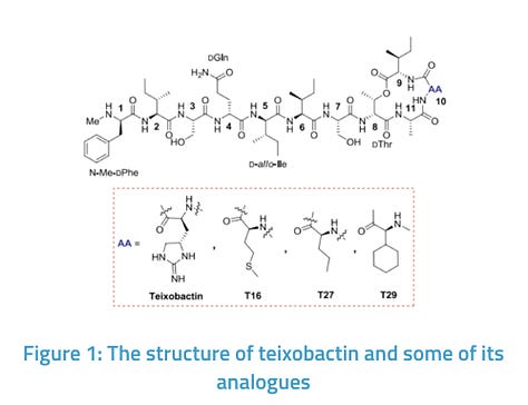 Novel Analogues of Teixobactin and the Synthetic Method