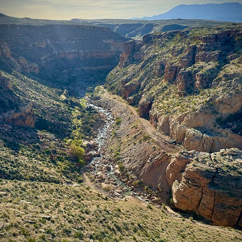 Hiking in Zion National Park.