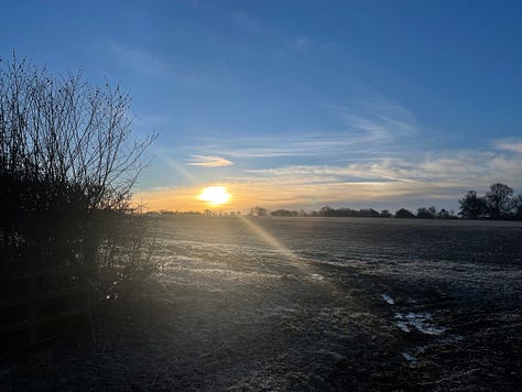 sunrise over frosty fields
