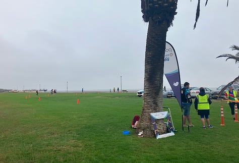 The finish line and parkrun flag on the grassy area by the lagoon