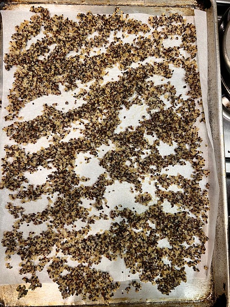 quinoa cooking