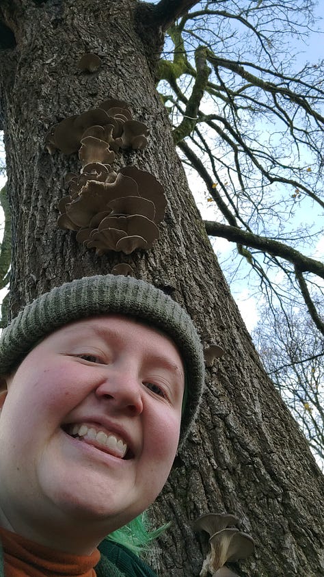 1: a hand holding a bunch of oyster mushrooms, 2: Izzy's face pokes into the frame alongside the oyster mushroom tree for the second year in a row, 3: a flush of oyster mushrooms along the tree with small chunks taken out of them already