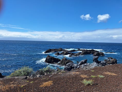 Photos from the coast of Tenerife