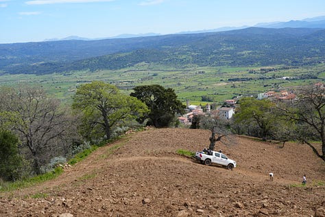 planting vineyards in Sardinia