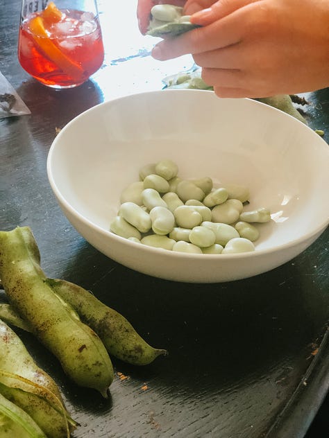 Apples and blackberries cooking in a pan, podded broad beans in a white bowl, a hand holding small tomatoes and a green chilli