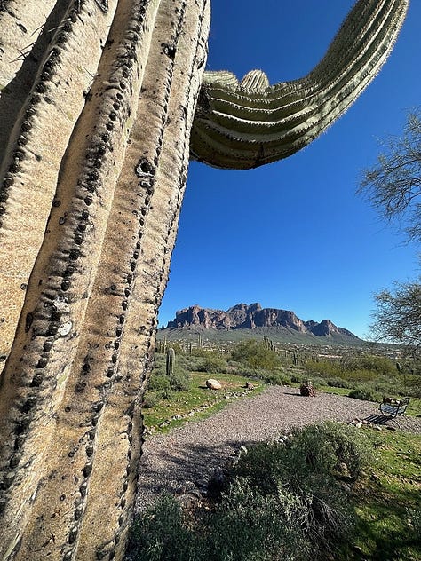Lost Dutchman Museum